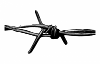 Barbed Wire 1